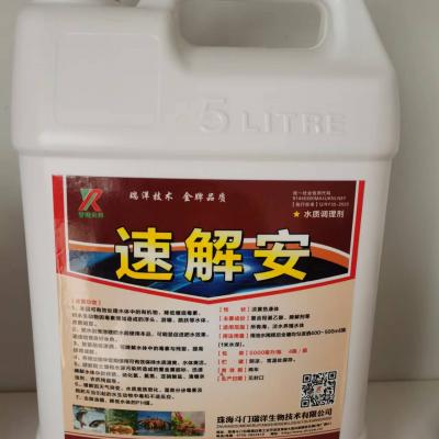 速解安